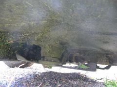 the fixed bladetables