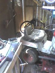 husky in shed