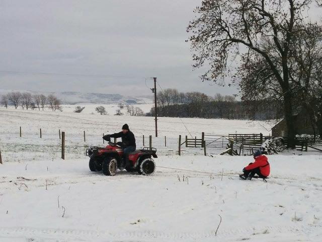 post-100-0-27678400-1453048801_thumb.jpe