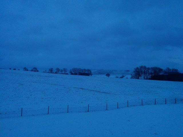 post-100-0-47246500-1452419873_thumb.jpe