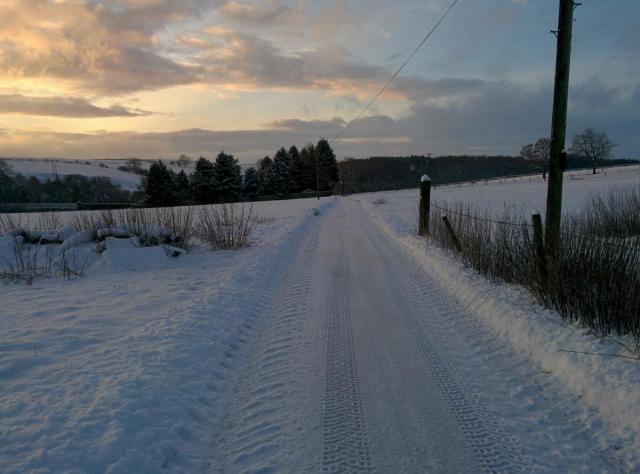 post-100-0-65432700-1453049238_thumb.jpe