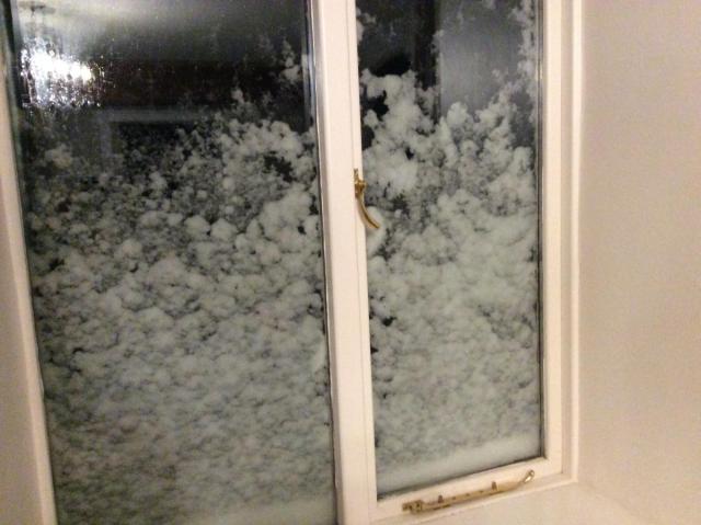 post-100-0-96270400-1452419799_thumb.jpe