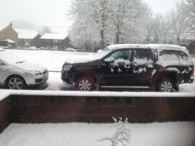 post-294-0-78443500-1452265245_thumb.jpe