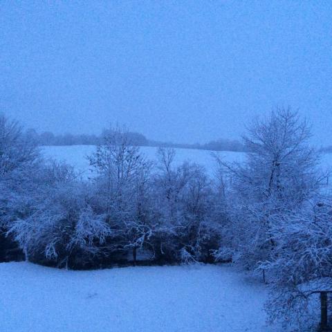 post-100-0-03530200-1457110029_thumb.jpe