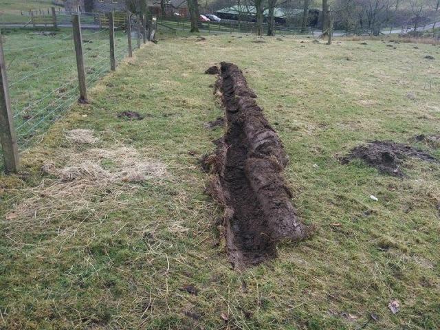 post-100-0-28956600-1457196544_thumb.jpe