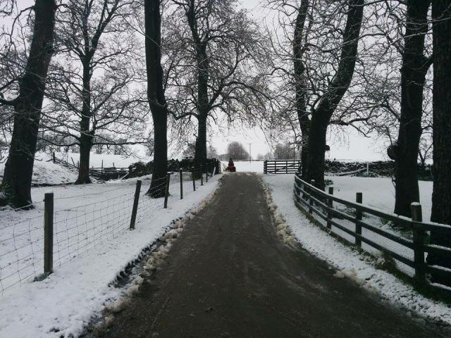 post-100-0-46319200-1457110060_thumb.jpe