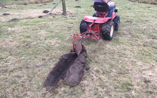 post-100-0-78978600-1457196710_thumb.jpe