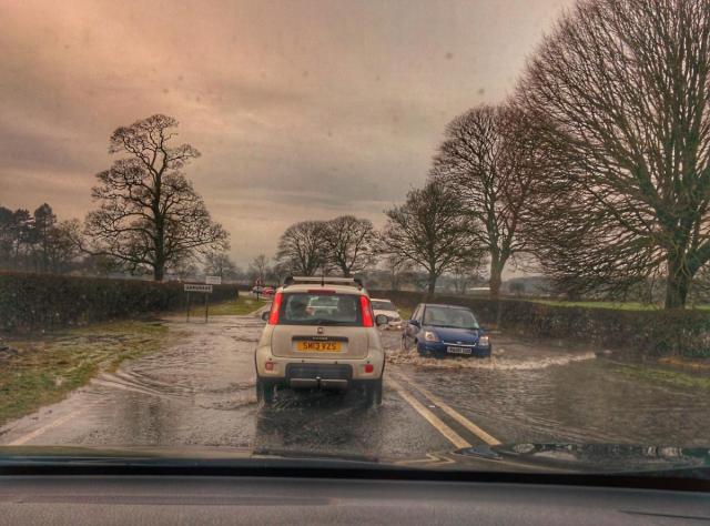 post-100-0-28300600-1450036511_thumb.jpe