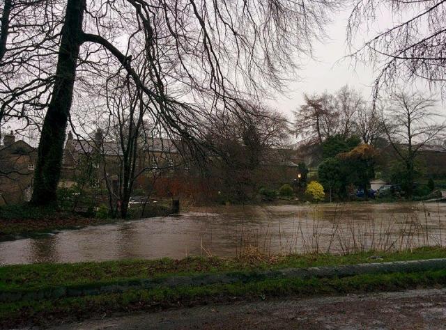 post-100-0-79103000-1451162339_thumb.jpe