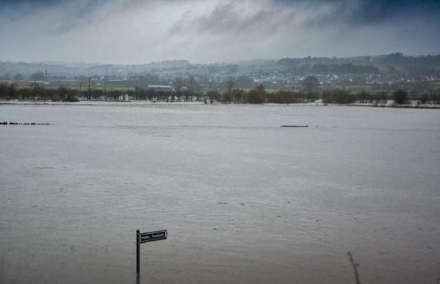 post-100-0-88289200-1451162281_thumb.jpe