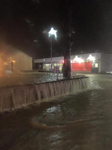 post-294-0-25244100-1449417251_thumb.jpe