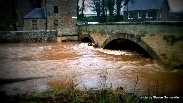 post-294-0-41774300-1449416920_thumb.jpe