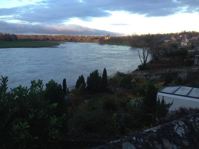 post-294-0-68390700-1449419188_thumb.jpe