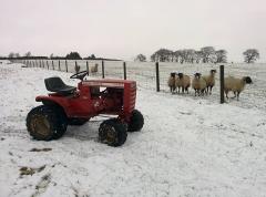 What is this strange beast