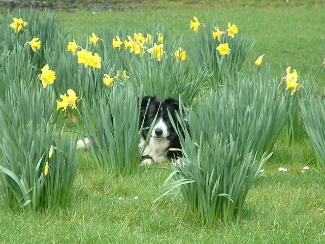 2002-02-14 02.29.01.jpg