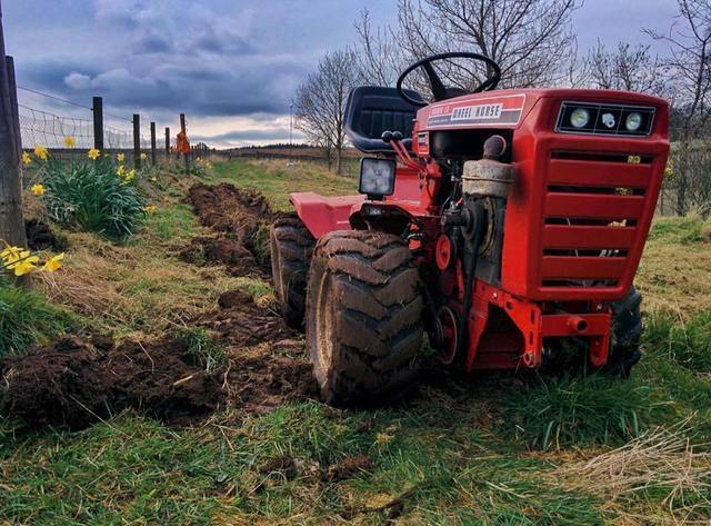 13001101_10153687204674037_7186400501482133518_n (1).jpg