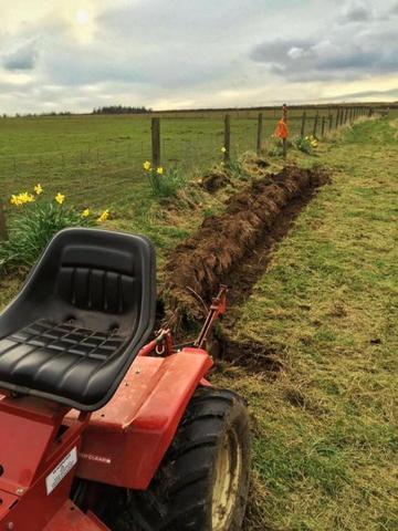 12994323_10153687204639037_4660763410331694478_n (1).jpg