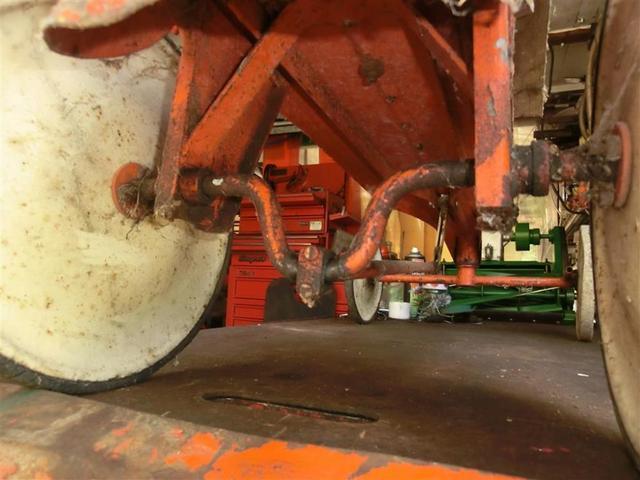 CIMG3584 (Medium).JPG