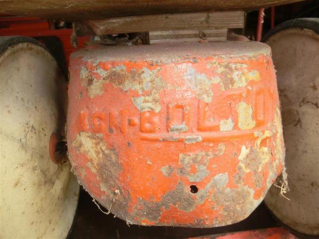 CIMG3586 (Medium).JPG