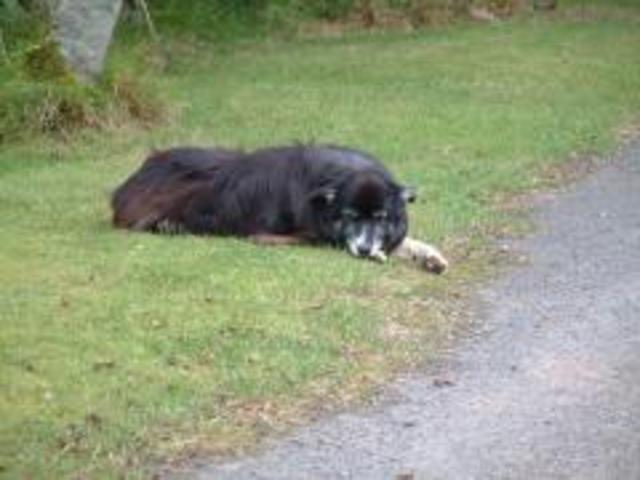 2002-01-02 22.33.53.jpg