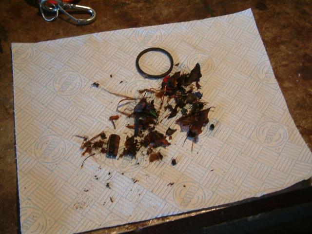 2016-05-04 11.18.39.jpg