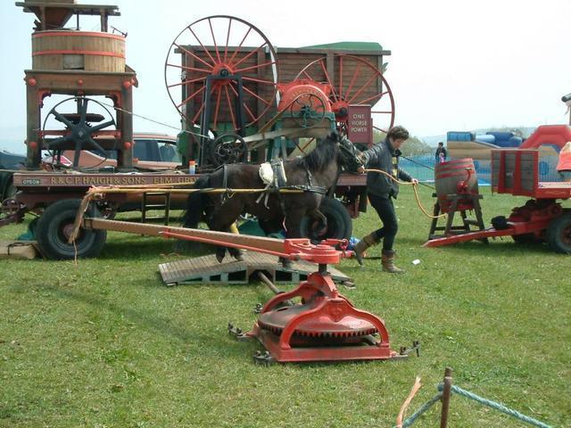 2016-05-07 11.54.32.jpg