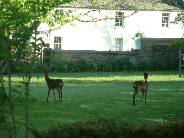 2016-05-14 07.38.17.jpg