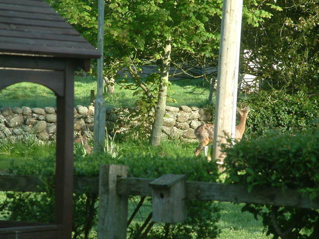 2016-05-14 07.40.07.jpg