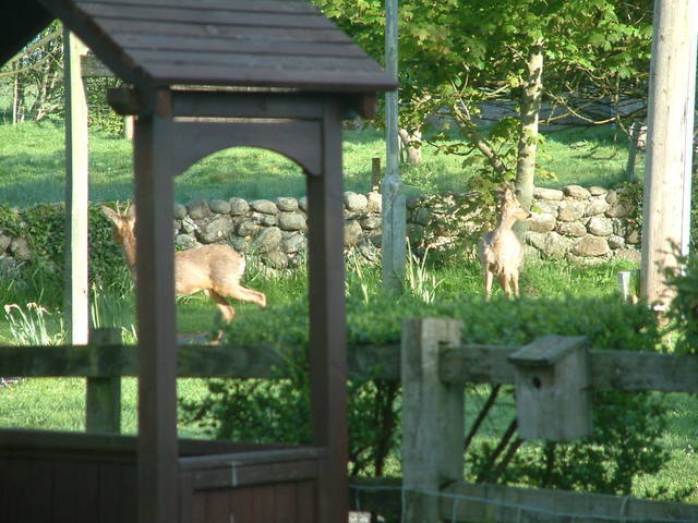 2016-05-14 07.40.29.jpg