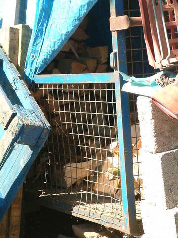 2016-05-16 11.04.00.jpg