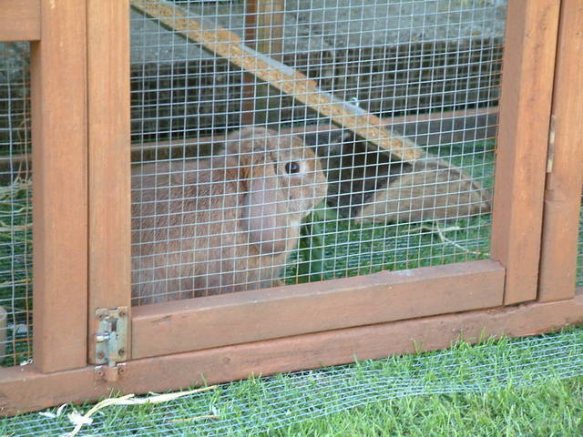 2016-05-14 19.21.35.jpg