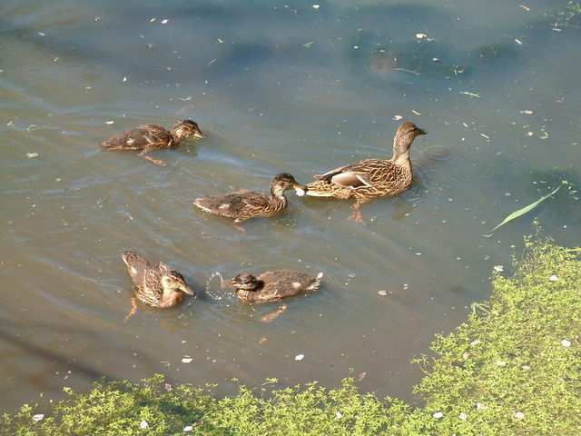 2016-05-16 10.35.56.jpg