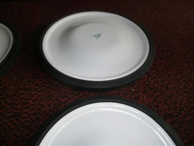 CIMG3622 (Medium).JPG