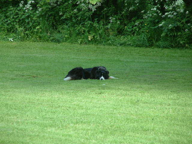 2016-05-30 15.11.34.jpg