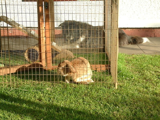 2016-05-31 19.35.21.jpg