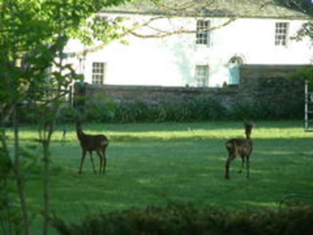 2016-05-14 07.38.17.jpg