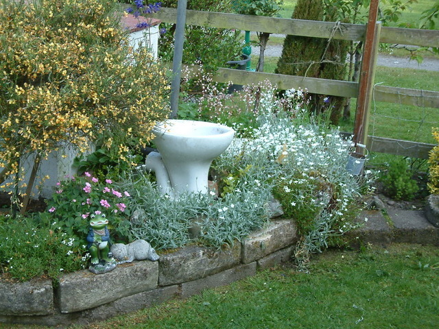 2016-05-24 08.51.42.jpg