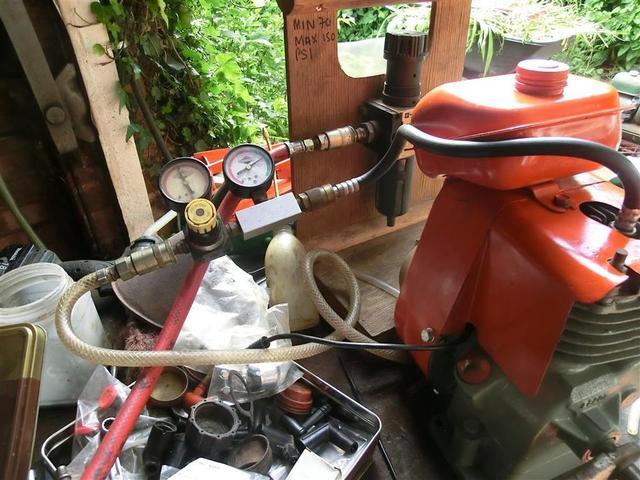 CIMG3691 (Medium).JPG