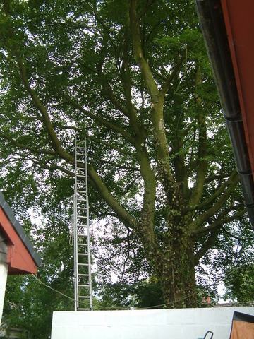 2002-01-01 00.00.07.jpg