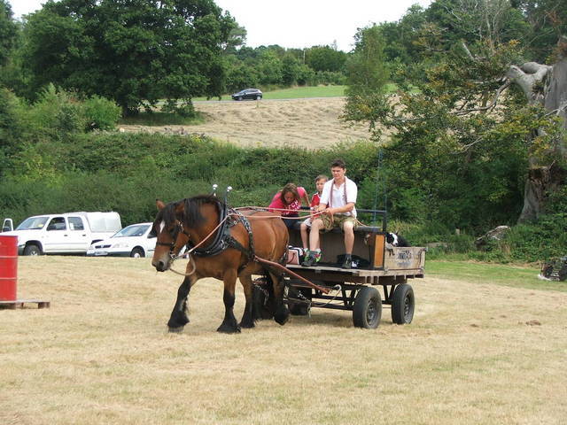 rural pastimes 2016 030.JPG