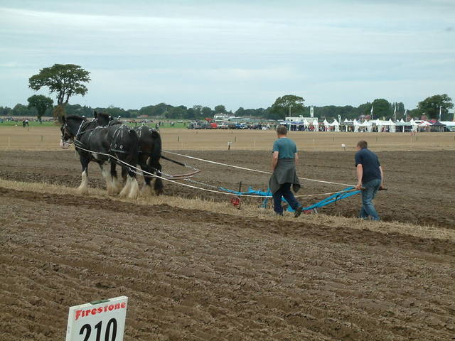 2002-01-29 03.57.23.jpg