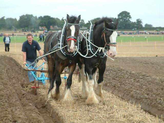 2002-01-29 04.00.22.jpg