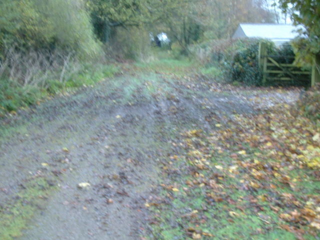 rake - brush 003.JPG